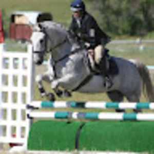 Meet your Posher, Polly